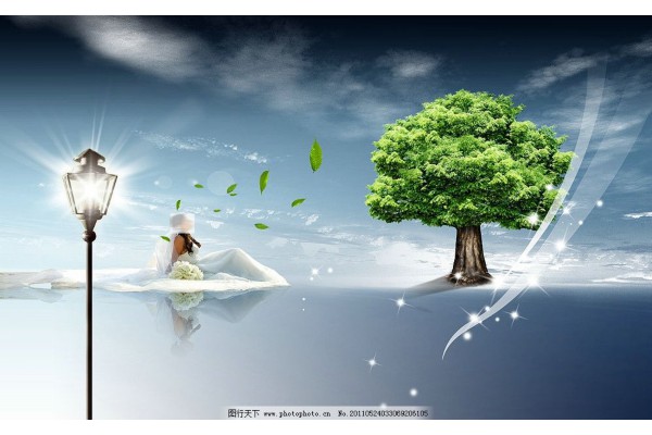 Behind the water is a streamlined wood.